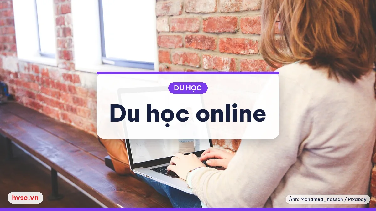 Ảnh minh hoạ: Du học online học kỳ đầu mùa dịch: có nên học từ xa?