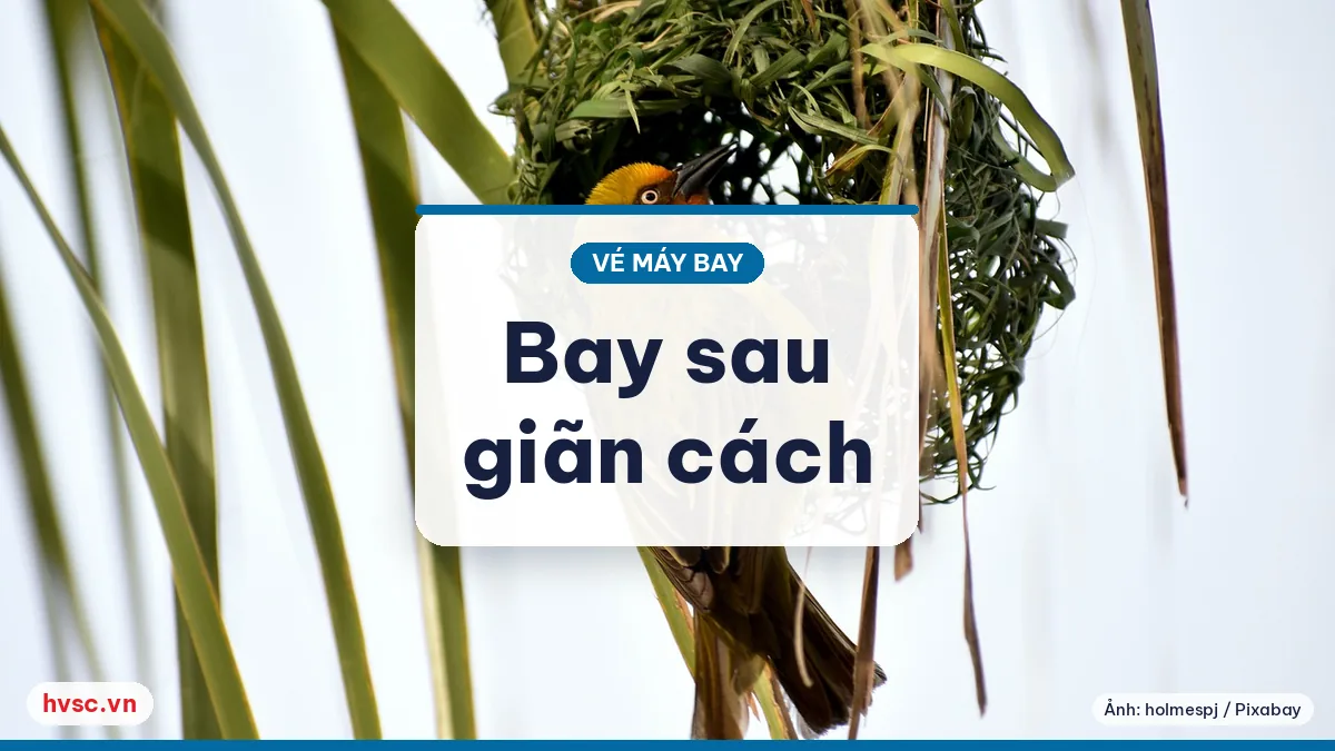Ảnh minh hoạ: Bay nội địa sau giãn cách: khẩu trang, khai báo y tế, quy trình mới