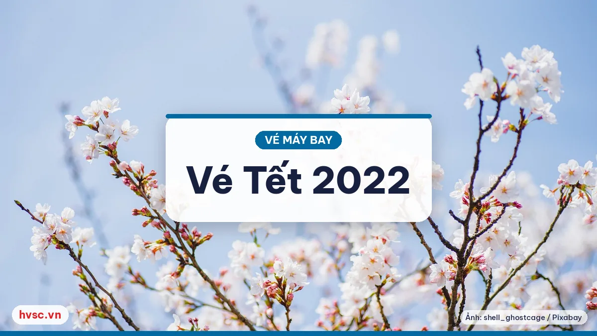 Ảnh minh hoạ: Tết Nhâm Dần 2022: đặt vé sớm và theo dõi điều kiện đi lại