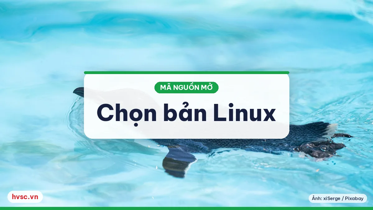 Ảnh minh hoạ: Linux cho người mới: Ubuntu, Mint hay Fedora, chọn bản nào