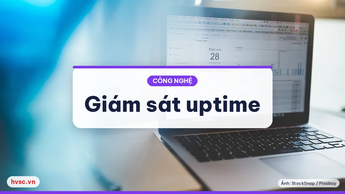 Ảnh minh hoạ: Giám sát uptime: biết website sập trước khi khách báo