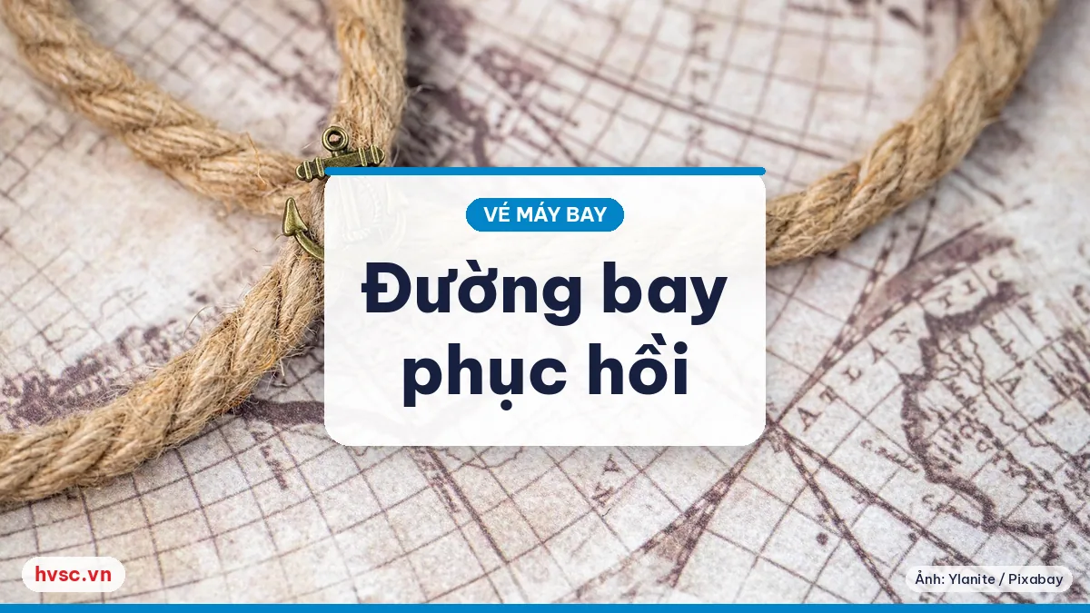 Ảnh minh hoạ: Giai đoạn phục hồi sau dịch (2023–2024): đường bay nối lại và giá vé