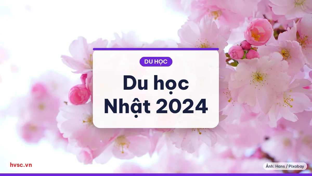 Ảnh minh hoạ: Du học Nhật Bản 2024: visa, JLPT và học bổng