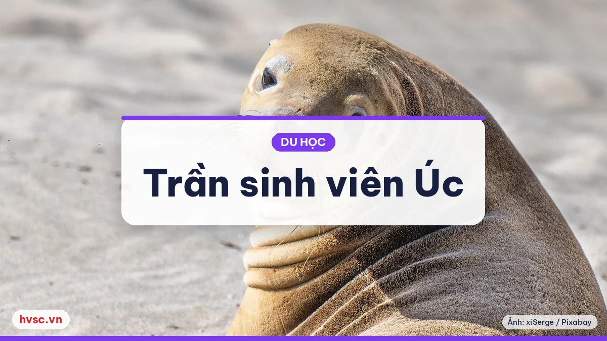 Ảnh minh hoạ: Úc đặt trần sinh viên quốc tế: kế hoạch 295.000 cho năm 2026