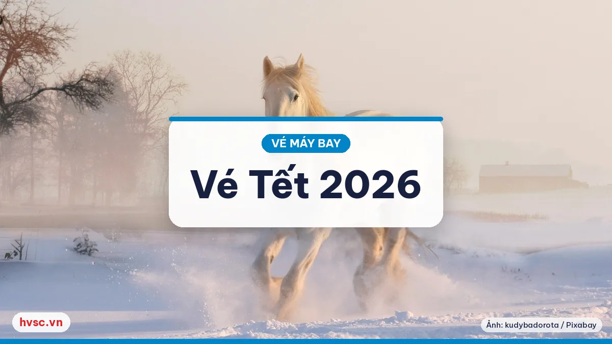 Ảnh minh hoạ: Tết Bính Ngọ 2026 (17/2/2026): đặt vé và lưu ý hành lý, giấy tờ