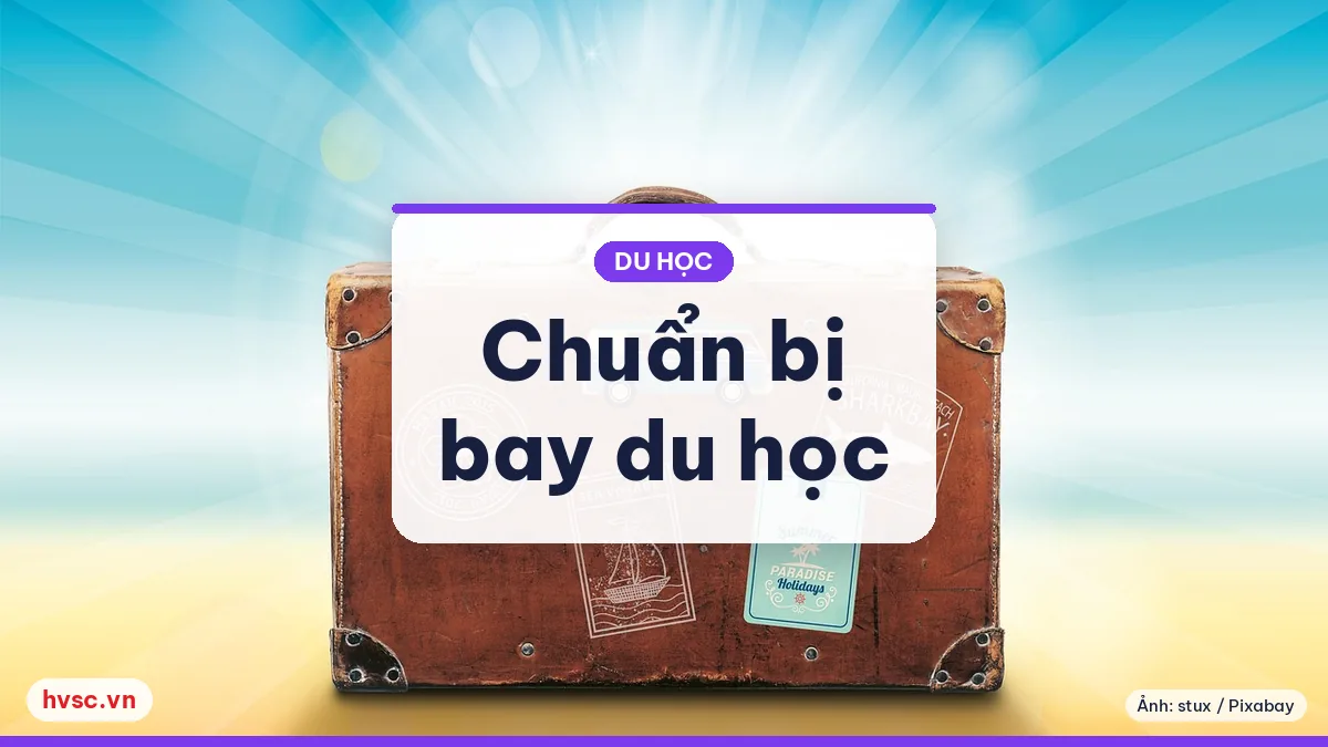Ảnh minh hoạ: Chuẩn bị bay du học: vé, hành lý, giấy tờ nhập học và bảo hiểm