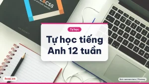 Tự học tiếng Anh online từ con số 0: lộ trình 12 tuần cho người đi làm
