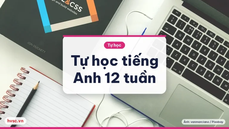 Tự học tiếng Anh online từ con số 0: lộ trình 12 tuần cho người đi làm